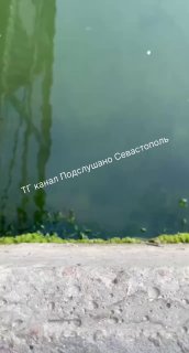 Канализационные стоки загрязняют море на набережной Балаклавы в Севастополе