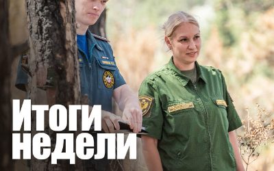 МЧС Севастополя: 185 выездов, 46 пожаров, 7 пострадавших в ДТП и 117 взрывоопасных предметов