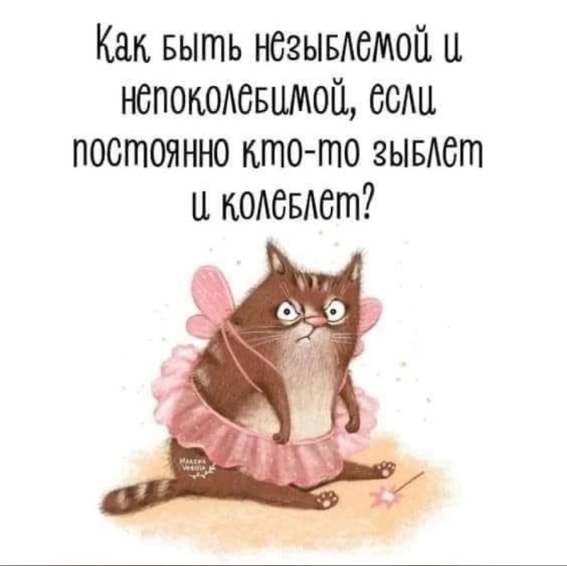 (notitle)