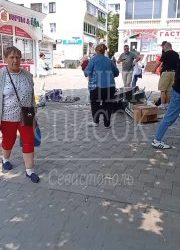 Нападение на пенсионерку в Севастополе: молодые люди разбили ее товар