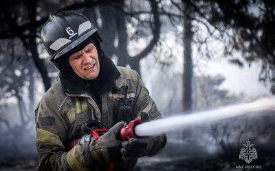 Огонь уничтожил более гектара растительности в Севастополе в первый день особого противопожарного режима
