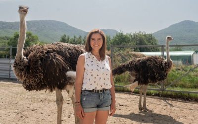 «От «Агростартапа» до «Агротуризма»: как создать уникальную ферму и привлечь туристов в Севастополь»