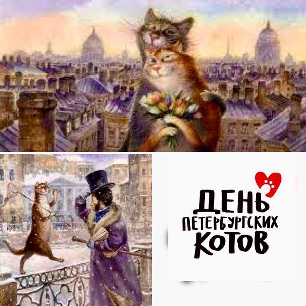 Питерский Кот: Прогулки по Северной Столице