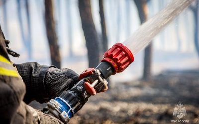 Пожар на Камышовом шоссе в Севастополе потушен за 3 часа
