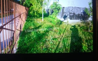 Пожароопасная ситуация в Севастополе: жители обеспокоены бездействием коммунальных служб