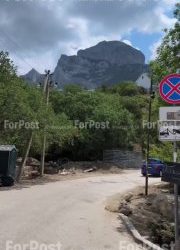 Севастопольцы обеспокоены возможной застройкой зеленой зоны возле пляжа Дельфин