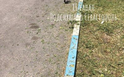Севастопольцы возмущены уничтожением зеленых насаждений в городе