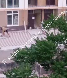 Севастопольцы жалуются на шум от строительства ЖК Скифия в ночное время