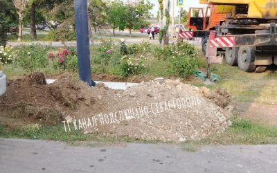 В Севастополе на клумбе с розами установили рекламный щит, возмутившись горожане