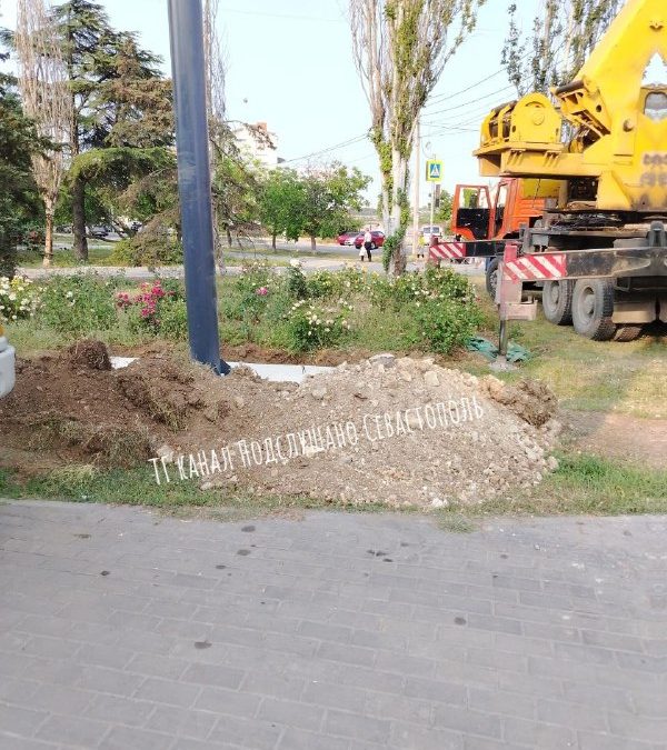 В Севастополе на клумбе с розами установили рекламный щит, возмутившись горожане