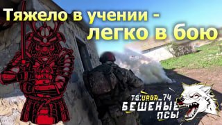 Боевая подготовка «Бешеных псов»: реальность вместо устава