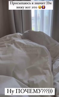 Дочь Самойловой и Джигана устроила в своей комнате убежище для лягушек