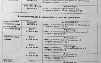 Доступность образования для детей с ОВЗ в Севастополе: проблемы и решения