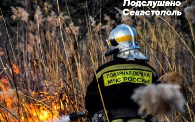 МЧС предупреждает о чрезвычайной пожарной опасности в Крыму и Севастополе с 9 по 12 июля 2025 года