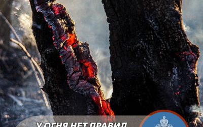 Напряженный понедельник севастопольских огнеборцев: 20 выездов и 8 пожаров за сутки