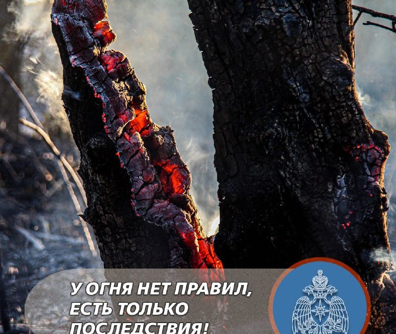 Напряженный понедельник севастопольских огнеборцев: 20 выездов и 8 пожаров за сутки