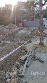 Очередной раскоп в Севастополе: корни сосен перерублены при строительстве дорожки