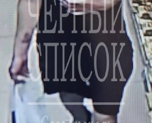 Разыскивается вор, промышляющий на проспекте Победы