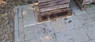 Севастопольцы возмущены: собачий туалет в Динопарке