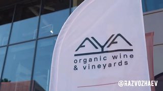 Севастопольская винодельня AYA URBAN WINERY запускает второй сезон производства