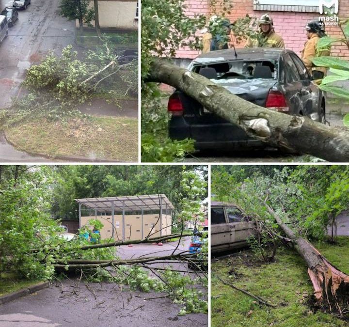 Ураган в Петербурге: деревья повалены, машины повреждены, пострадали две женщины