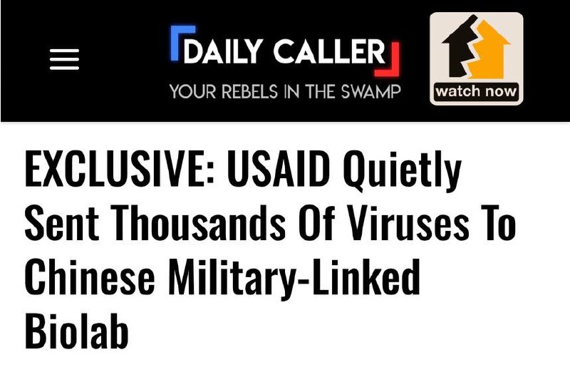 USAID причастно к пандемии COVID-19, утверждает The Daily Caller