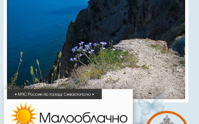 Высокая пожарная опасность в Севастополе: МЧС предупреждает о необходимости соблюдения правил безопасности