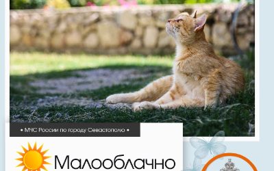 Жаркий день в Севастополе: МЧС предупреждает о высокой пожарной опасности
