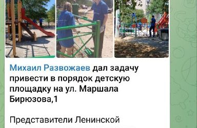 Чиновники Севастополя платят за укусы, но не ловят бродячих собак