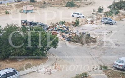 Жители Хрусталева 61 жалуются на горы мусора и невыносимую вонь