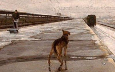 Трагическая история брошенной дворняги в стихах Эдуарда Асадова