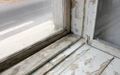 Жители Севастополя возмущены условиями голосования на избирательном участке