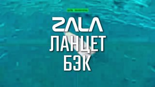 «ZALA «Ланцет» усилил защиту морских рубежей России от украинских БЭК»